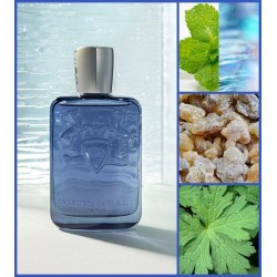 Sedley EDP 125 ml Parfums de Marly - GrelaParfum 3