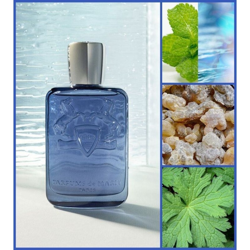 Sedley EDP 125 ml Parfums de Marly - GrelaParfum 3