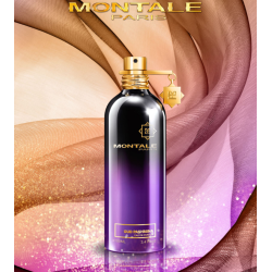 Oud Pashmina Edp 100ml