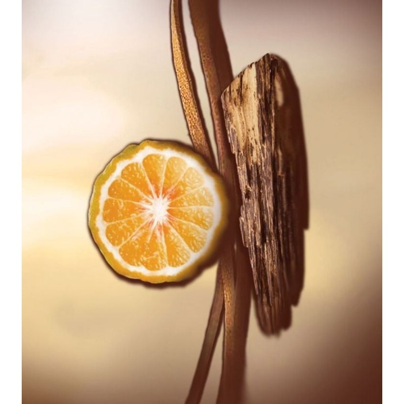 Cuir Cordoba EDP 100 ml