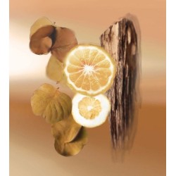 Endless Summer EDP 100 ml Endless Summer EDP 100 ml