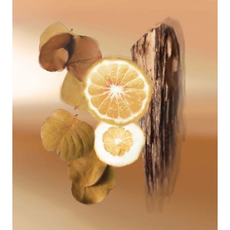 Endless Summer EDP 100 ml Endless Summer EDP 100 ml