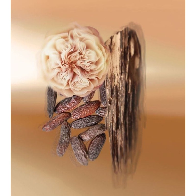 Makassar EDP 100 ml Makassar EDP 100 ml