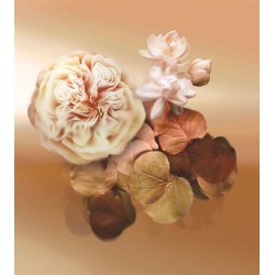 Patchoulissime EDP 100 ml Patchoulissime EDP 100 ml