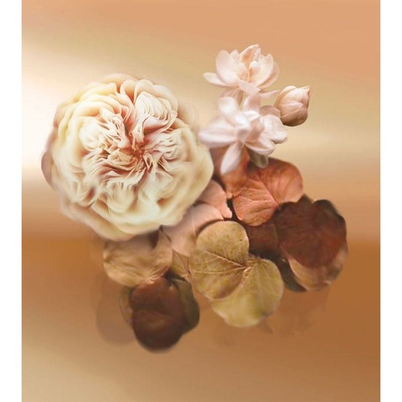 Patchoulissime EDP 100 ml Patchoulissime EDP 100 ml