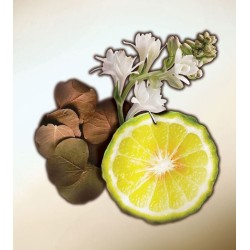 The Beautiful Ones EDP 100 ml