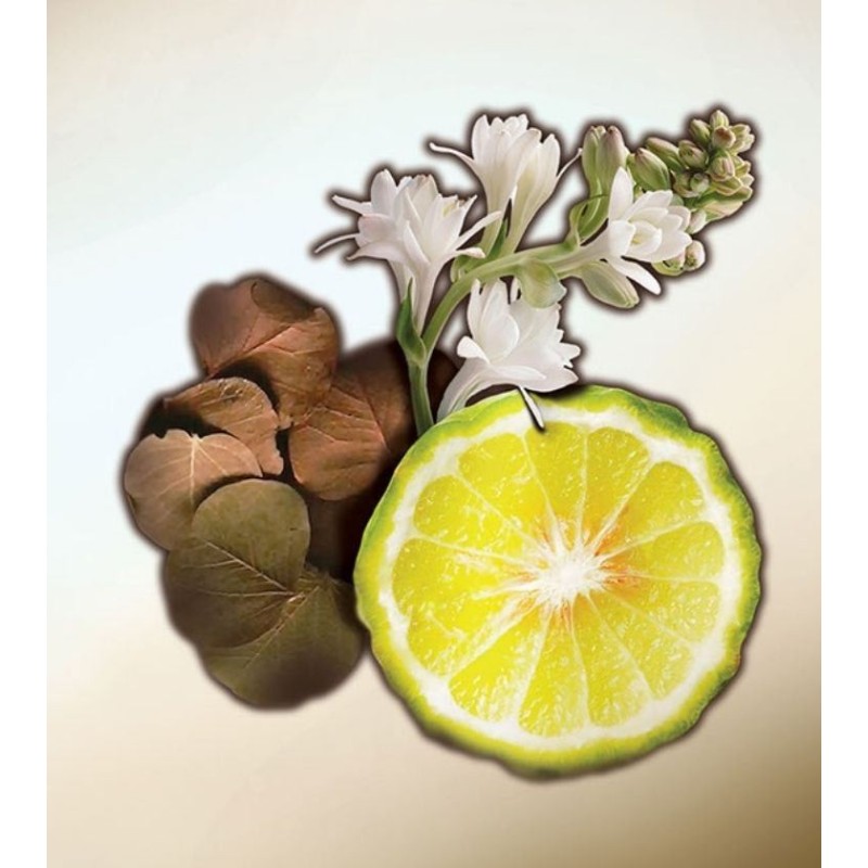 The Beautiful Ones EDP 100 ml The Beautiful Ones EDP 100 ml