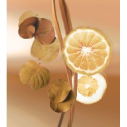 Turn & Stare EDP 100 ml