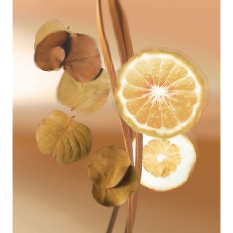 Turn & Stare EDP 100 ml