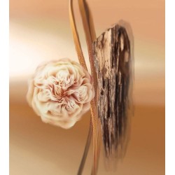 Les Zazous EDP 100 ml