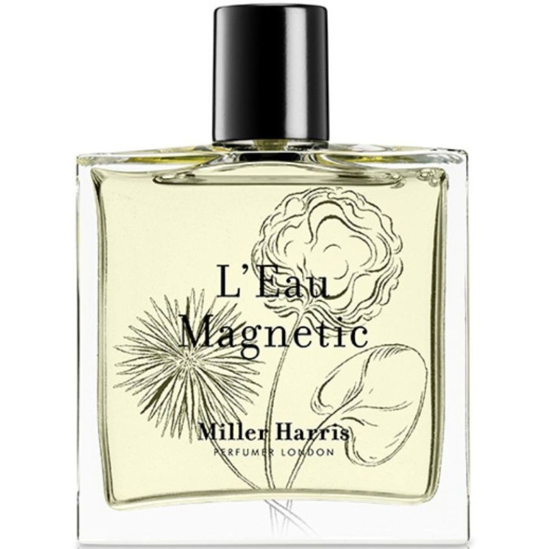 L'Eau Magnetique Edp 100ml