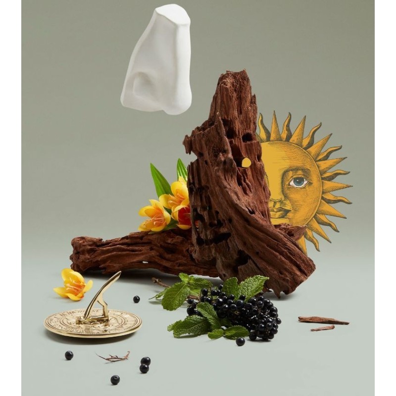 Solaris Edp 100 ml Solaris Edp 100 ml