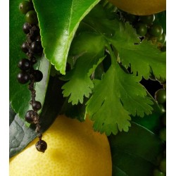 Re-charge Black Pepper Body Wash 400 ml