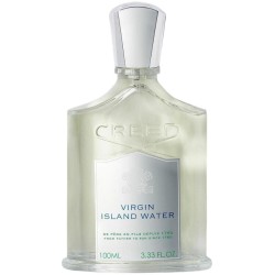 Virgin Island Water Edp 100ml