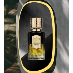 Chandigarh Express 100ml Chandigarh Express 100ml