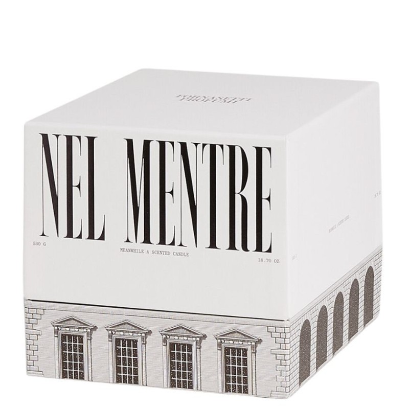 NEL MENTRE Candela Profumata Vaso - Decoro Architettura 530gr