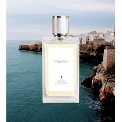 Magnifico EDP 100ml