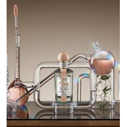 A Kiss of Bliss Edp 100 ml A Kiss of Bliss Edp 100 ml