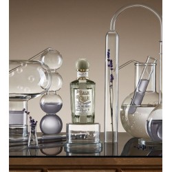 A Balm of Calm Edp 100 ml