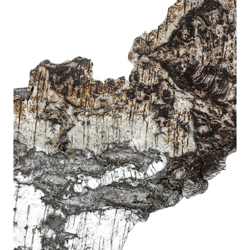 Falcon Leather Extrait 100ml Falcon Leather Extrait 100ml