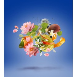 Torino24 EDP 50ml Torino24 EDP 50ml