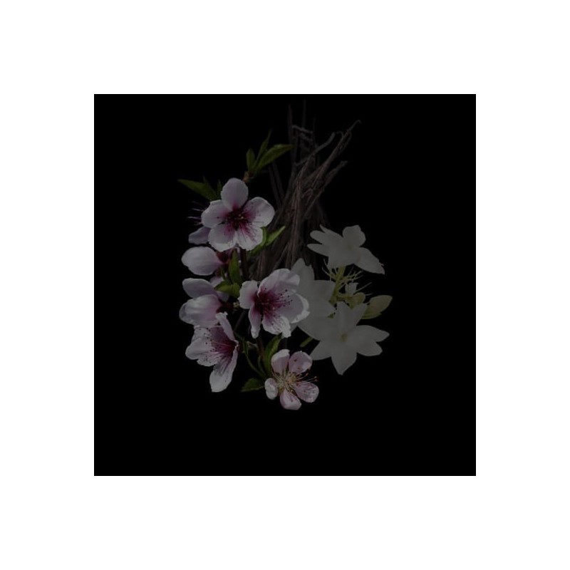 X Feminine Edp 50 ml X Feminine Edp 50 ml