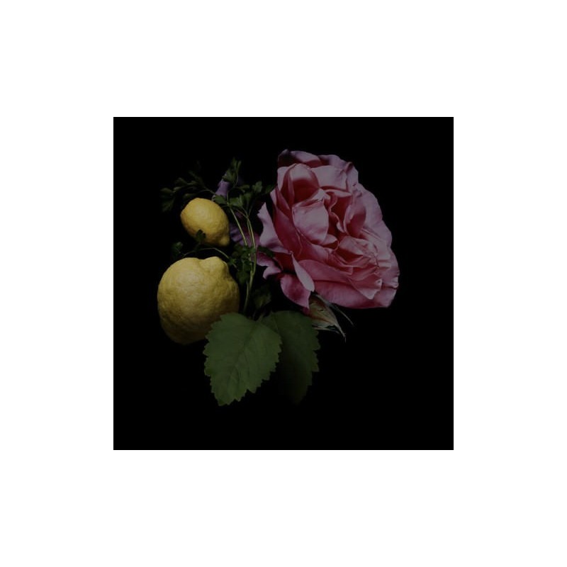 1872 Feminine Edp 50 ml 1872 Feminine Edp 50 ml