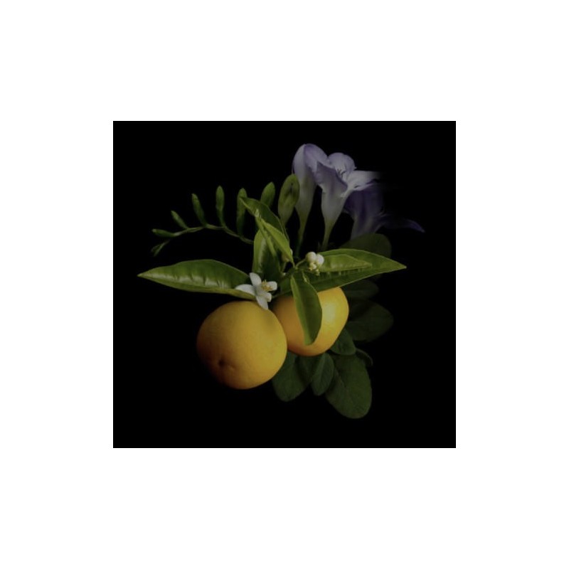 1872 Masculine Edp 50 ml 1872 Masculine Edp 50 ml