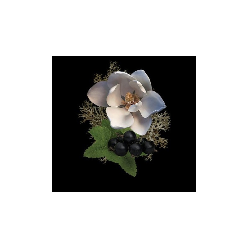 Noble VIII Magnolia  Eau de Parfum 50 ml