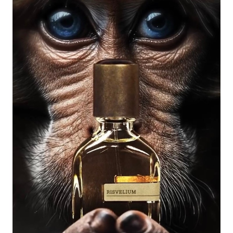 Orto Parisi Risvelium リスヴェリウム 50mL Risvelium Orto Parisi New – Luxe Perfumery