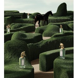 Fortuitous Finley EdP 75ml Fortuitous Finley EdP 75ml