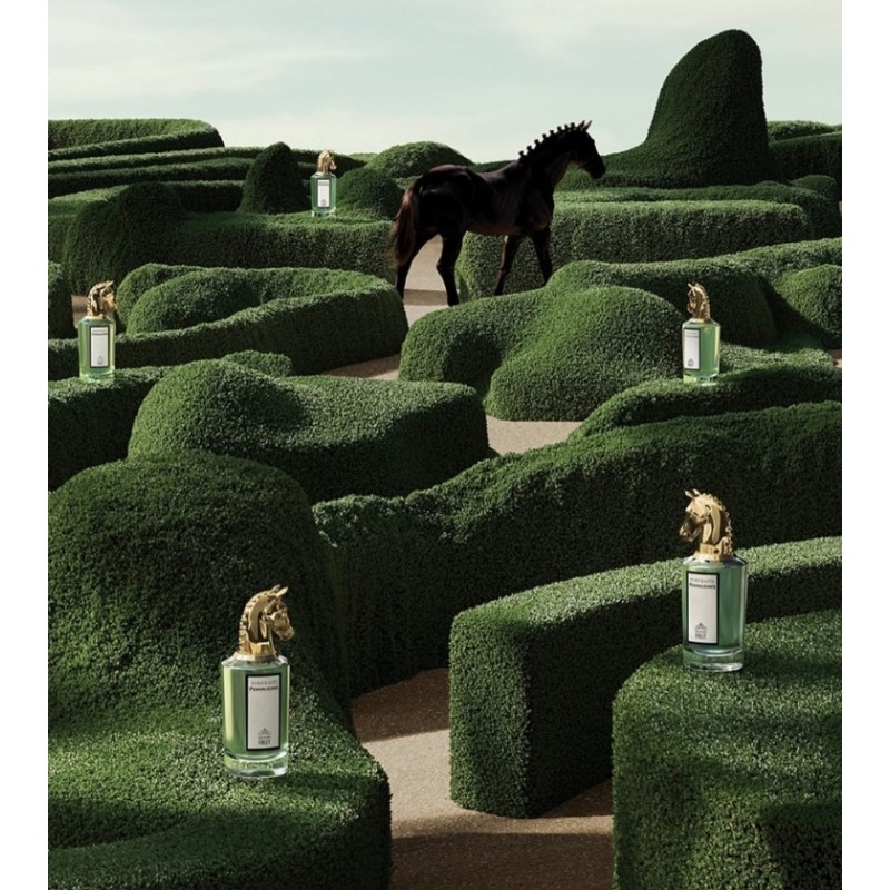 Fortuitous Finley Eau de Parfum 75ml • Penhaligon's