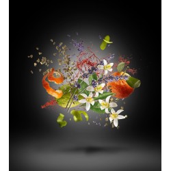 Duran Duran Black Moonlight 50ml • Xerjoff Duran Duran Black Moonlight 50ml • Xerjoff