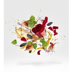 Duran Duran NeoRio 50ml • Xerjoff Duran Duran NeoRio 50ml • Xerjoff