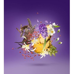 Purple Accento EDP 100ml