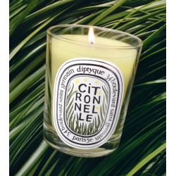 Candela Citronelle 190 gr Candela Citronelle 190 gr