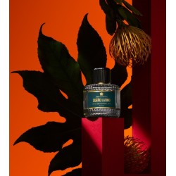 SUEÑO LATINO Eau de Parfum 100ml SUEÑO LATINO Eau de Parfum 100ml