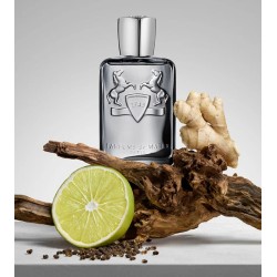 Castley EDP 125 ml Castley EDP 125 ml