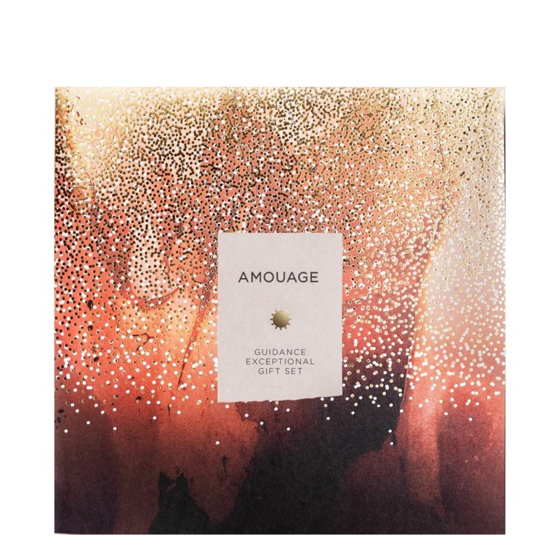 Guidance Exceptional Gift Set Guidance Exceptional Gift Set