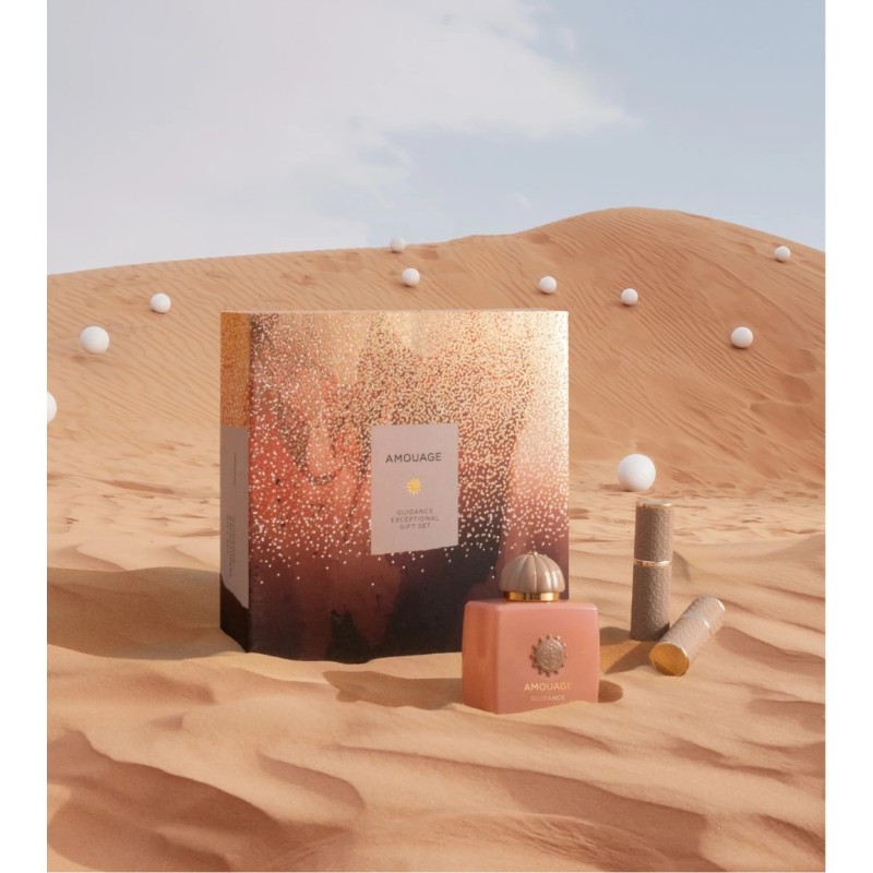 Guidance Exceptional Gift Set Guidance Exceptional Gift Set