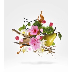 Louis XV 1722 Rosè EDP 50ml