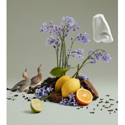 Bluebell EDT 100ml Bluebell EDT 100ml