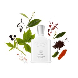 Silver Mountain Water Edp 100ml