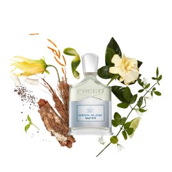 Virgin Island Water Edp 100ml