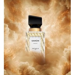 Sanum Concentré 70ml