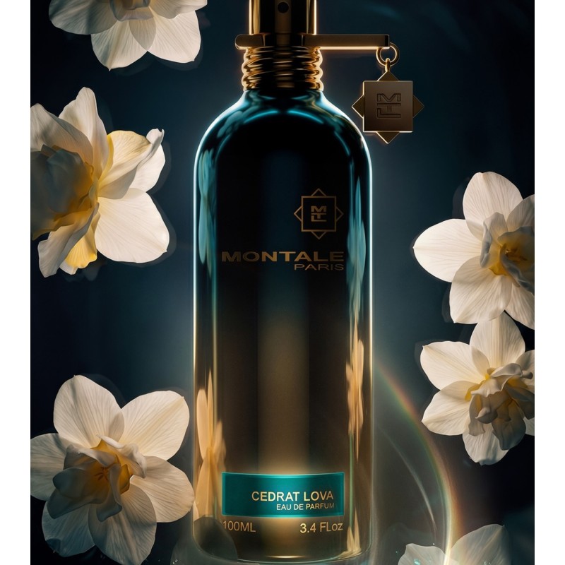Cedrat Lova Edp 100ml