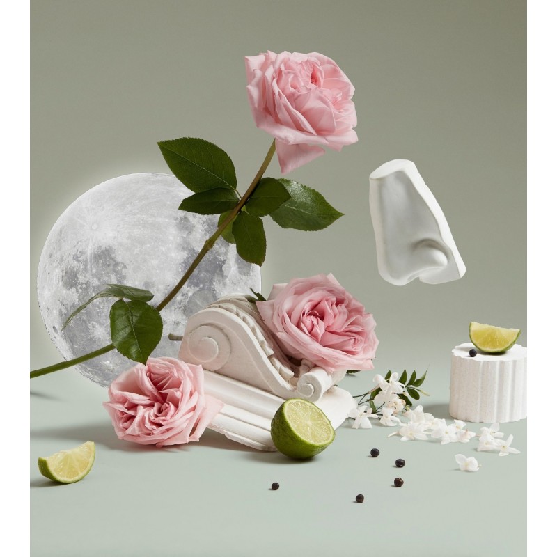 Luna Edt 100 ml