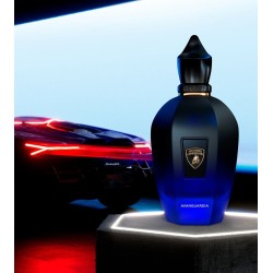 Avanguardia eau de parfum 100ml Avanguardia eau de parfum 100ml