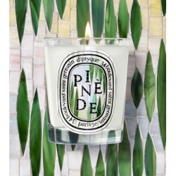 Candela Pinede 190 gr Limited Edition Summer 2026 Candela Pinede 190 gr Limited Edition Summer 2026