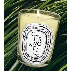 Candela Citronelle 190 gr Candela Citronelle 190 gr